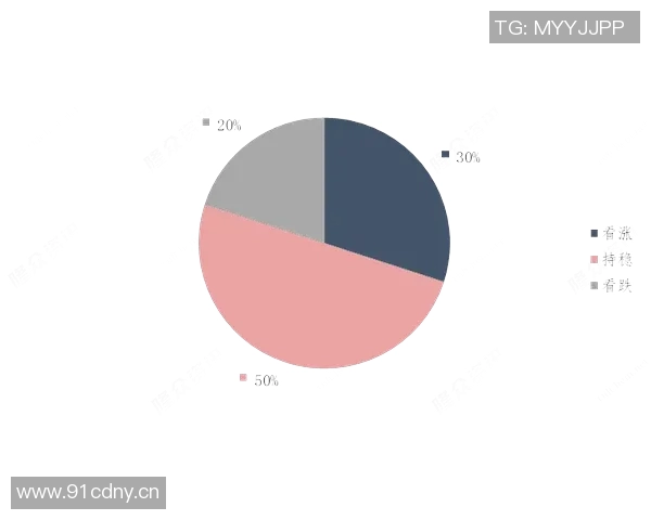 独家解析LNG市场竞争策略与战术对比深度剖析