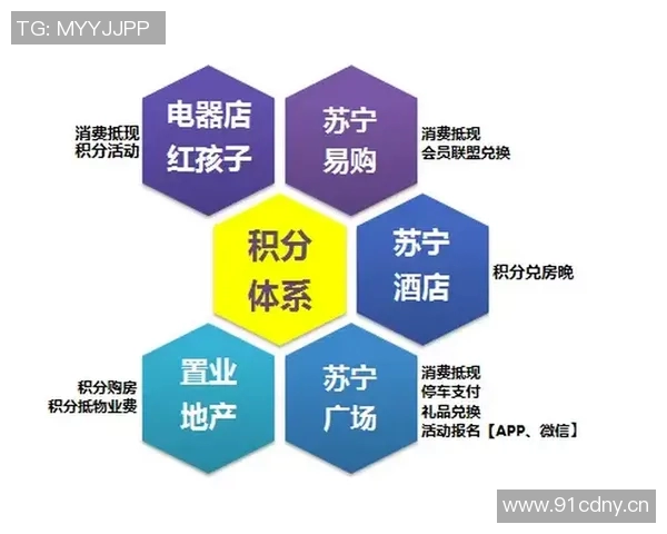 以国王为核心，探讨君主制度下的权力运作与社会变革的互动关系